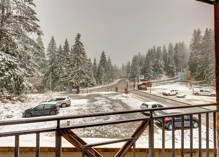 Cozy And Cute 1bd In The Castle Complex By Flat Mаnager